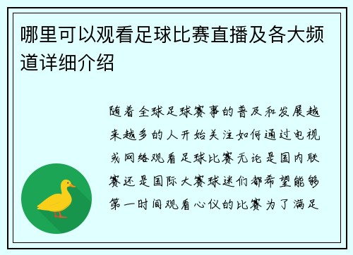 哪里可以观看足球比赛直播及各大频道详细介绍
